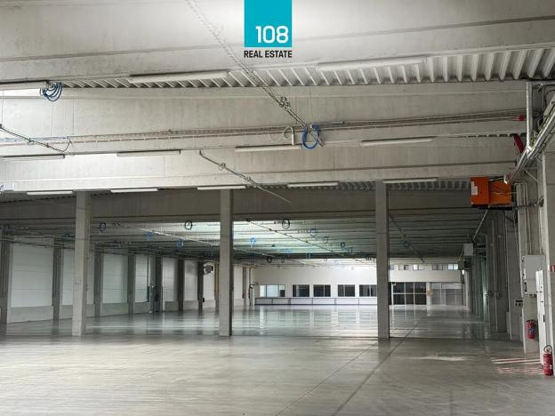 Prodej skladu, Horka nad Moravou, Družstevní, 10303 m2