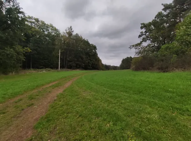 Prodej lesa, Nečín, 44533 m2