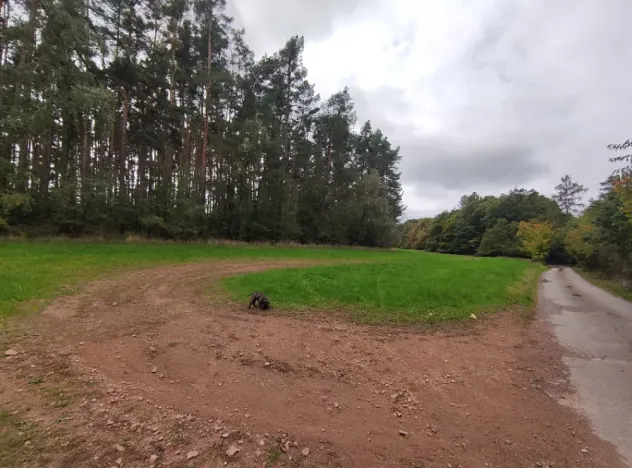 Prodej lesa, Nečín, 44533 m2