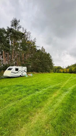 Prodej lesa, Nečín, 44533 m2