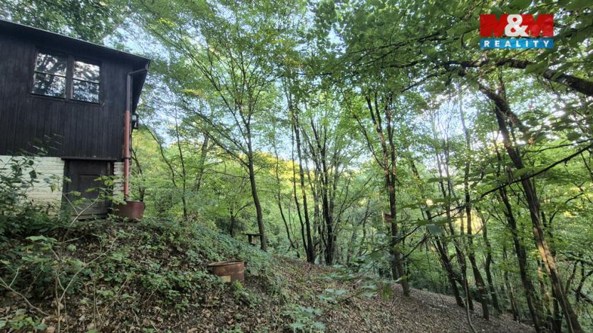 Prodej chaty, Zbečno - Újezd nad Zbečnem, 33 m2