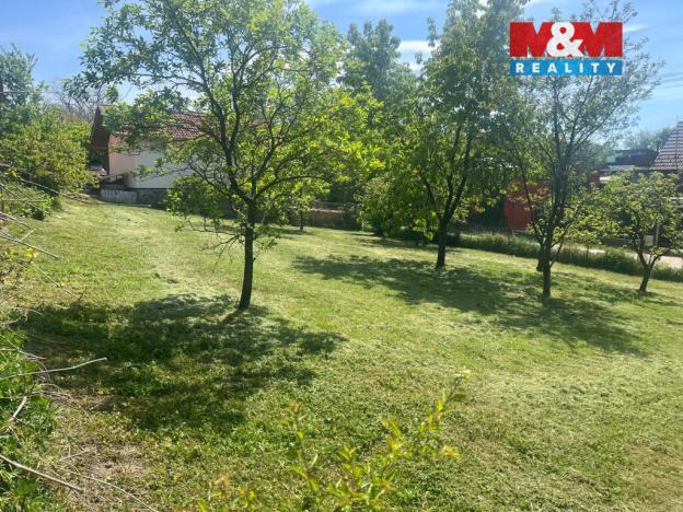 Prodej pozemku pro bydlení, Čížová - Borečnice, 605 m2