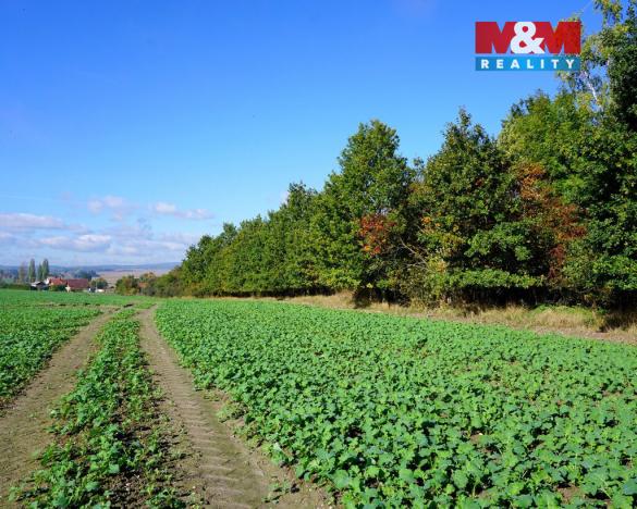 Prodej pozemku pro bydlení, Třebeň, 3689 m2