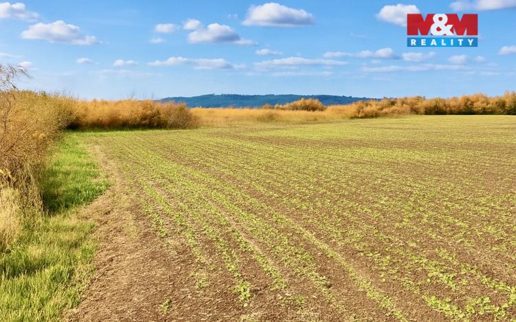 Prodej pole, Dolní Roveň - Komárov, 9215 m2