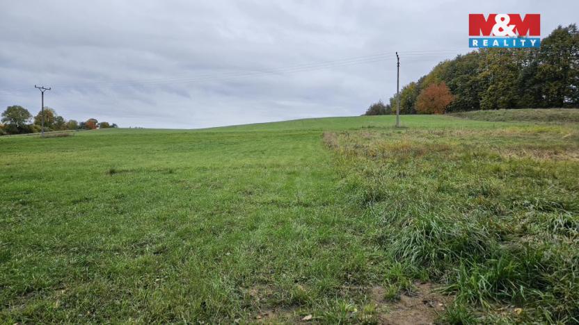 Prodej louky, Jedlí, 7881 m2