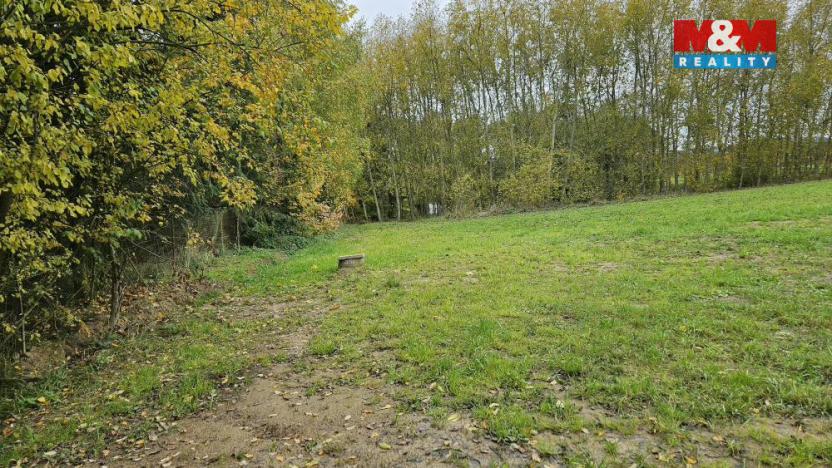 Prodej louky, Jedlí, 7881 m2