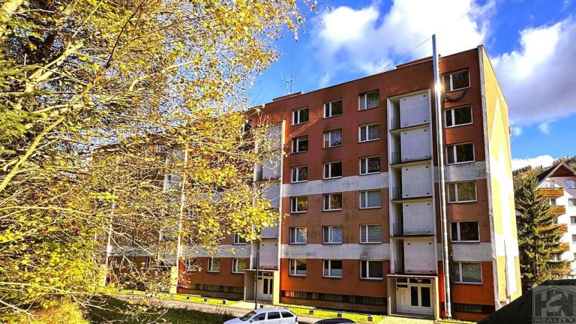 Prodej bytu 1+1, Jiřetín pod Bukovou, 41 m2