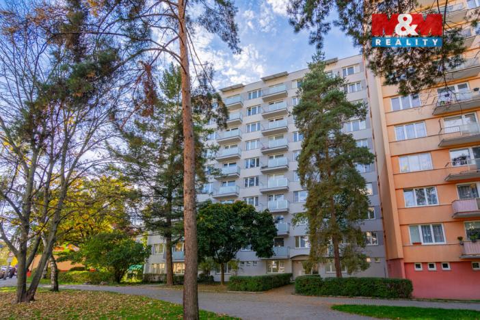 Prodej bytu 3+1, České Budějovice - České Budějovice 7, Lidická tř., 63 m2