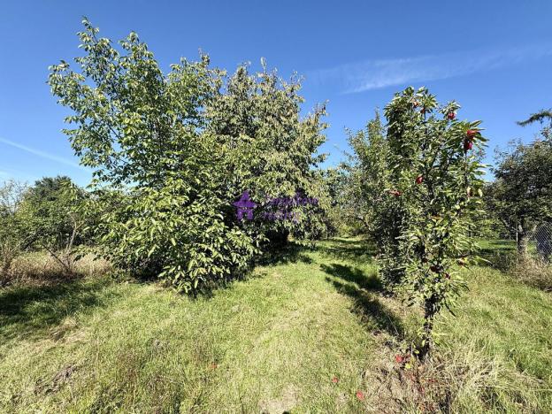 Pronájem zahrady, Olomouc - Droždín, Akátová, 1528 m2