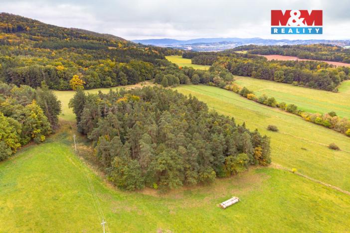 Prodej lesa, Ježovy - Trnčí, 39171 m2