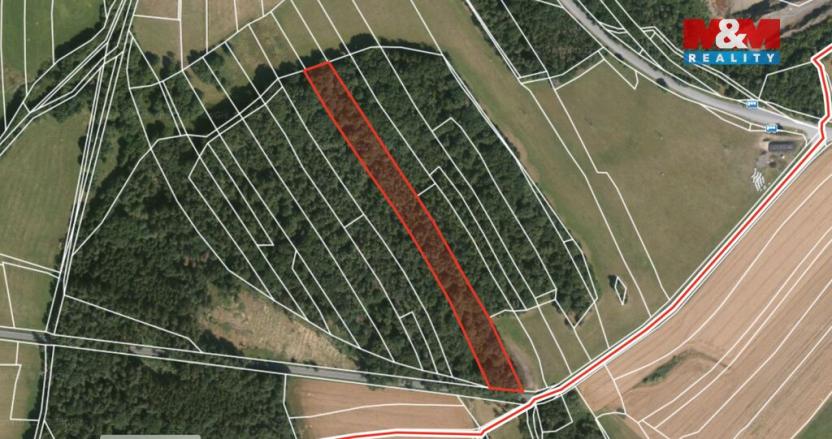 Prodej lesa, Ježovy - Trnčí, 39171 m2