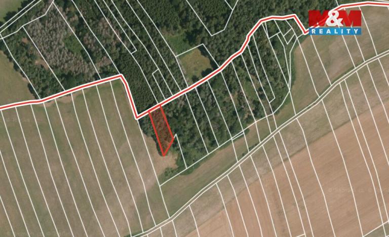 Prodej lesa, Ježovy - Trnčí, 39171 m2