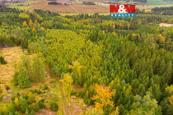 Prodej lesa, Černíkov, 12446 m2