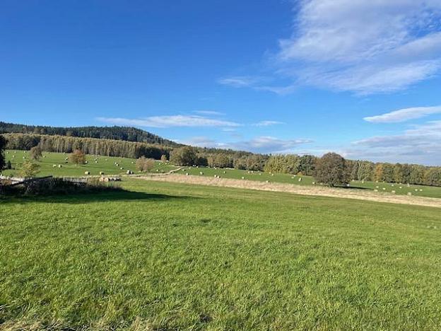 Prodej zahrady, Hrádek nad Nisou - Dolní Sedlo, Horská, 955 m2