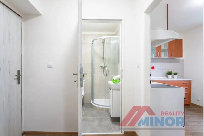 Pronájem bytu 1+1, Slaný, Rabasova, 28 m2