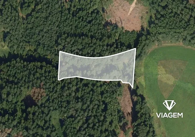 Prodej podílu lesa, Studnice, 2072 m2