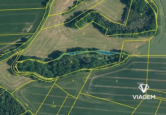 Prodej lesa, Zahořany, 678 m2