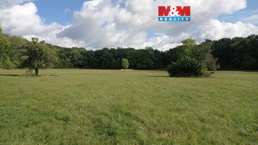 Prodej louky, Jenčice, 16692 m2