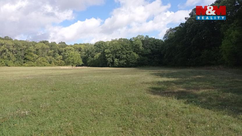 Prodej louky, Jenčice, 16692 m2