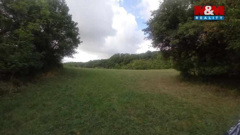 Prodej louky, Jenčice, 16692 m2