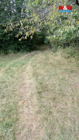 Prodej louky, Jenčice, 16692 m2