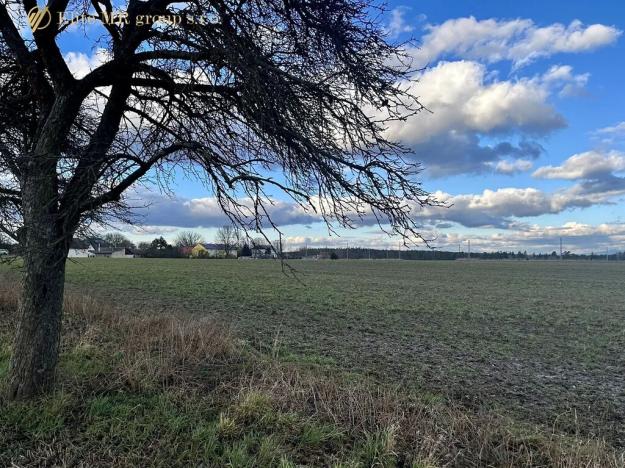 Prodej podílu lesa, Březovice, 36905 m2