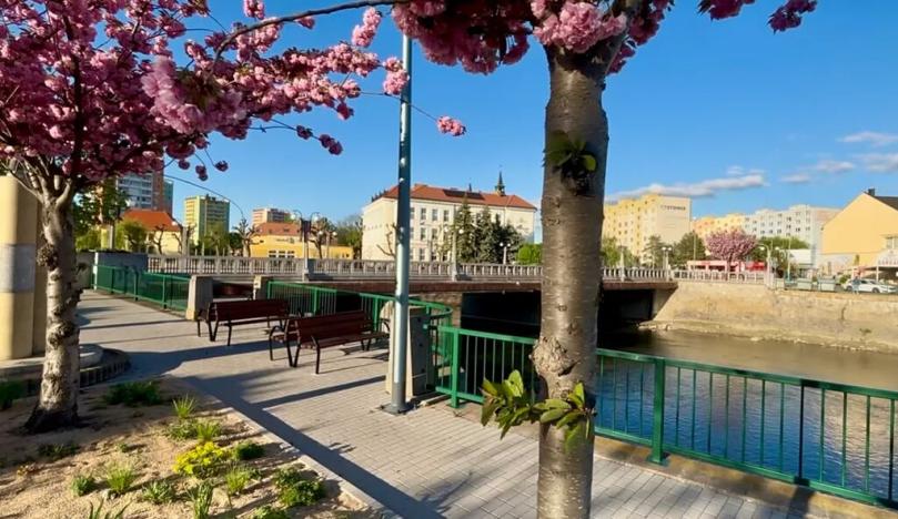 Prodej bytu 2+1, Břeclav, Slovácká, 51 m2