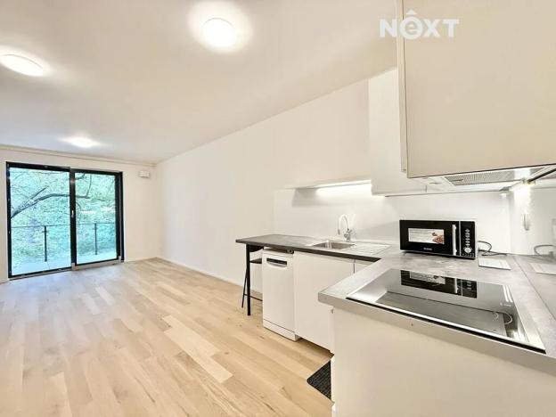 Pronájem bytu 1+kk, Praha - Břevnov, Radimova, 38 m2
