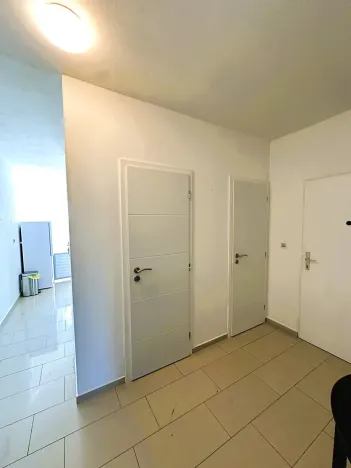 Pronájem bytu 2+1, Brno, Palackého třída, 50 m2