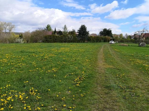 Prodej komerčního pozemku, Radomyšl, 10000 m2