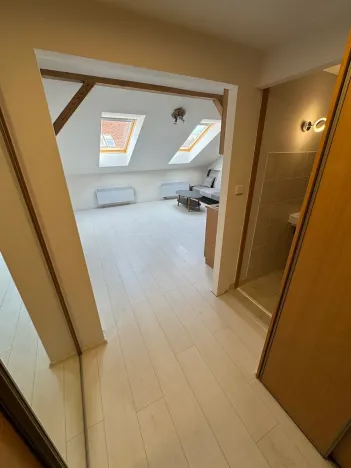 Pronájem bytu 1+kk, Praha - Vinohrady, Lublaňská, 32 m2