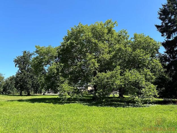 Prodej bytu 2+kk, Býchory, 62 m2