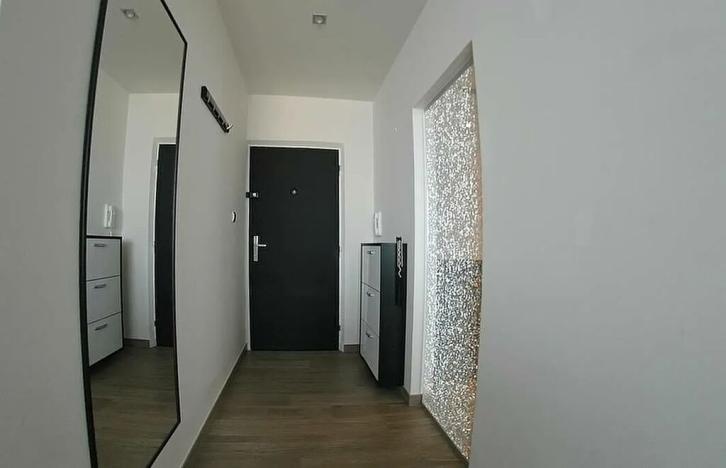 Pronájem bytu 1+1, Plzeň, Nýřanská, 40 m2