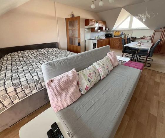 Prodej činžovního domu, Plzeň, U Pole, 496 m2