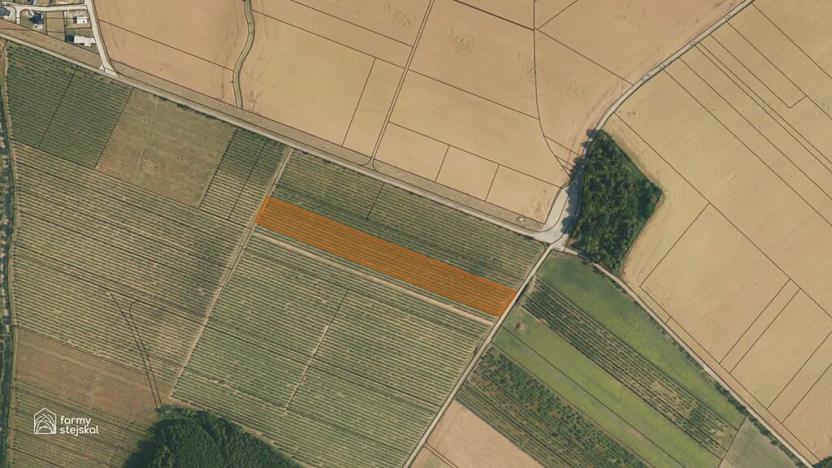 Prodej sadu/vinice, Červené Pečky, 13966 m2