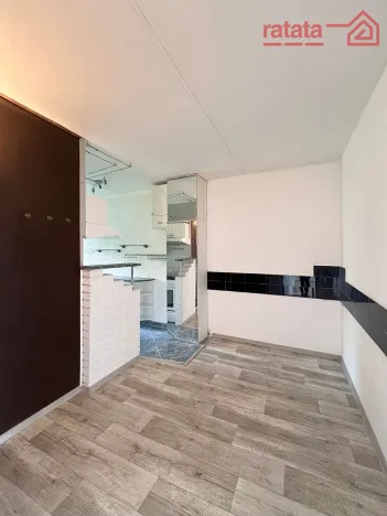 Pronájem bytu 2+1, Chomutov, Růžová, 60 m2