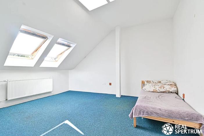 Prodej obchodního prostoru, Cetkovice, Velká Strana, 420 m2