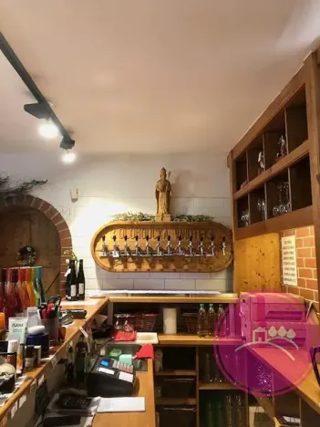 Pronájem obchodního prostoru, Olomouc, Karolíny Světlé, 55 m2