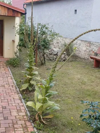 Prodej rodinného domu, Obořiště, 150 m2