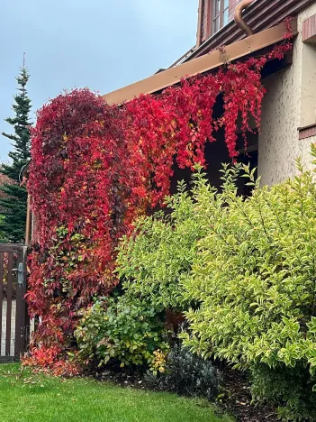 Prodej rodinného domu, Dobřejovice, Nad Mlýnským Rybníkem, 180 m2