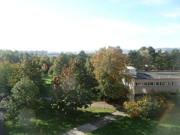 Pronájem bytu 2+1, Brno, Loosova, 56 m2