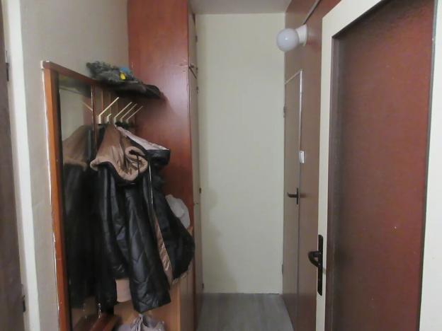 Prodej bytu 1+1, Hluk, Závodní, 41 m2