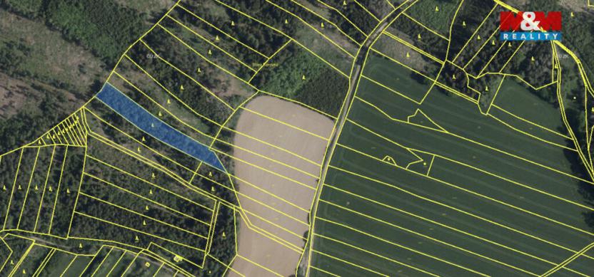 Prodej lesa, Mysletice, 7177 m2