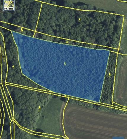 Prodej lesa, Lánov - Horní Lánov, 15996 m2