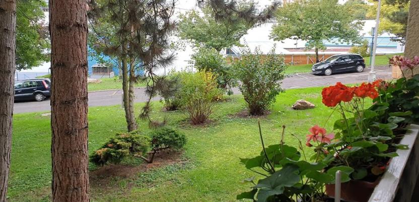 Pronájem bytu 1+kk, Teplice, Petra Jilemnického, 30 m2