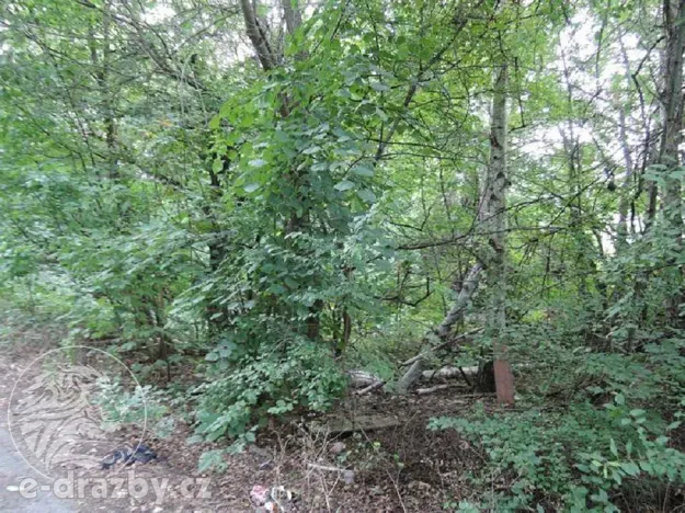 Dražba lesa, Kladno, 2465 m2