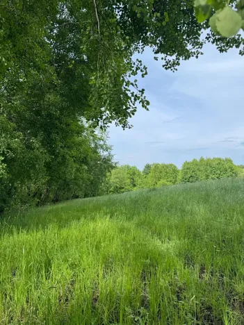 Prodej louky, Český Dub, 58420 m2
