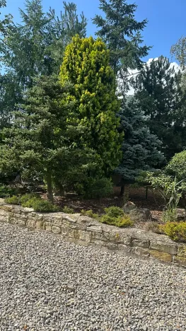 Prodej rodinného domu, Líský, 250 m2