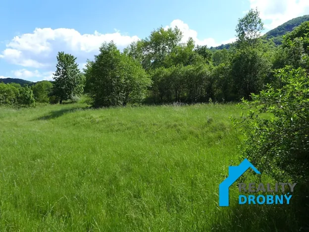 Pronájem zahrady, Malá Veleň, 3534 m2