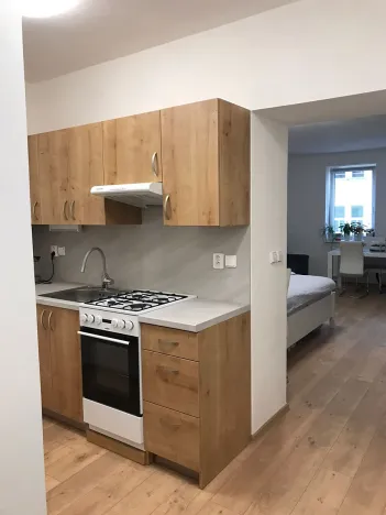Pronájem bytu 1+kk, Prostějov, Vápenice, 49 m2